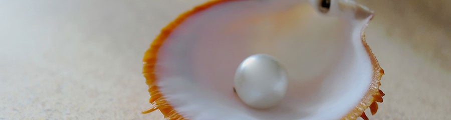 パール - 真珠