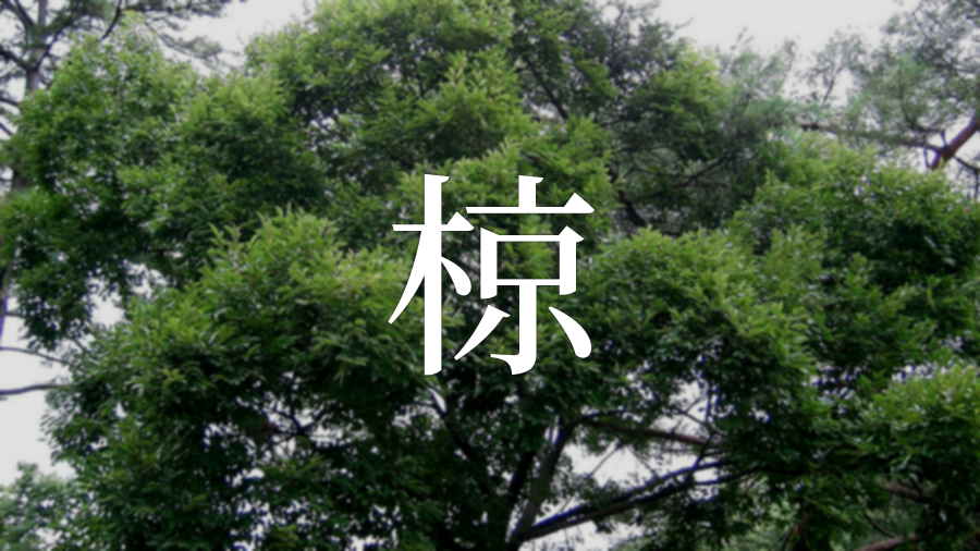 椋 を使った名前 意味 読み方や名付けのポイント 子供の名付け支援サービス 赤ちゃん命名 名前辞典