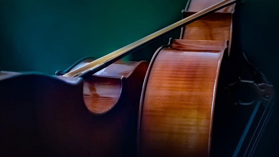 弓に張る糸、楽器に張って弾く糸を意味する「弦」のイメージ