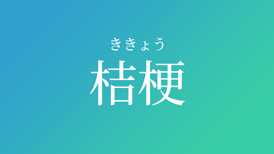 桔梗 ききょう という男の子の名前 読み方 赤ちゃん命名 名前辞典 ネムディク