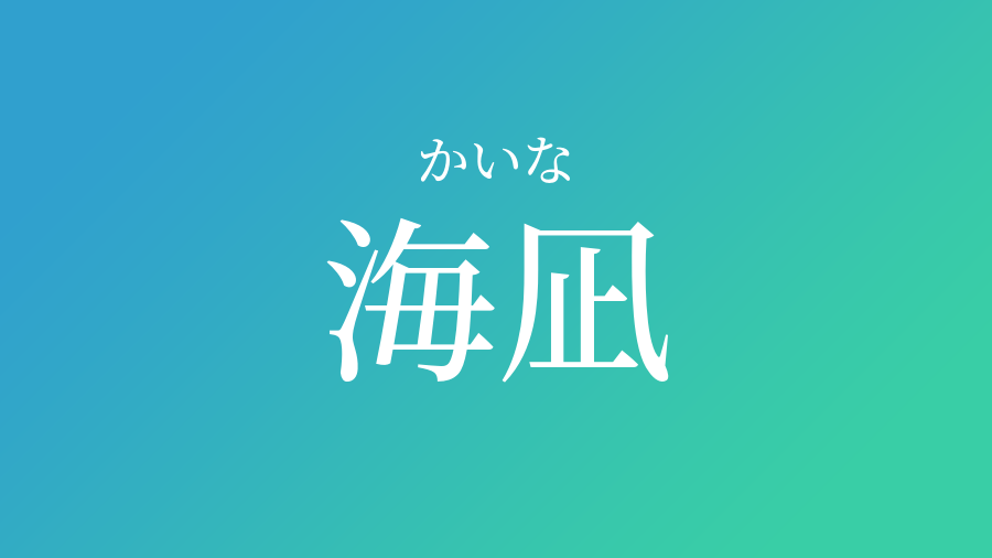 海凪 かいな という男の子の名前 読み方 子供の名付け支援サービス 赤ちゃん命名 名前辞典