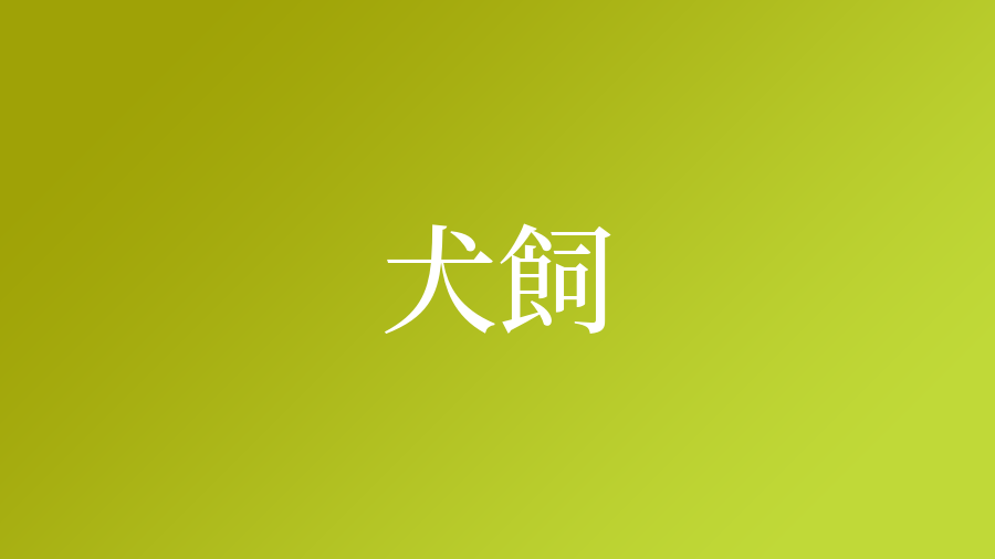 犬飼という名字 苗字 の読み方や由来 漢字の意味 ローマ字表記 名字検索 ネムディク